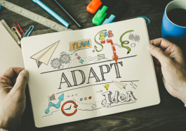 Sikap Fleksibel dan Adaptif