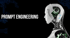 Prompt Engineering