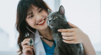 Gaji Puluhan Juta tapi Minim Interaksi? Cuma Karier Ini yang Cocok Buat Introvert!