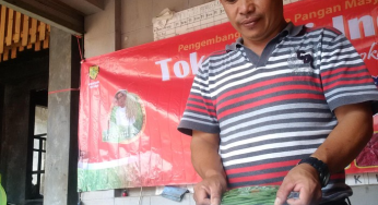 Dari Kampung Gondok ke Dunia: Kisah Inspiratif Ulus Pirmawan Si Petani Buncis yang Mendunia